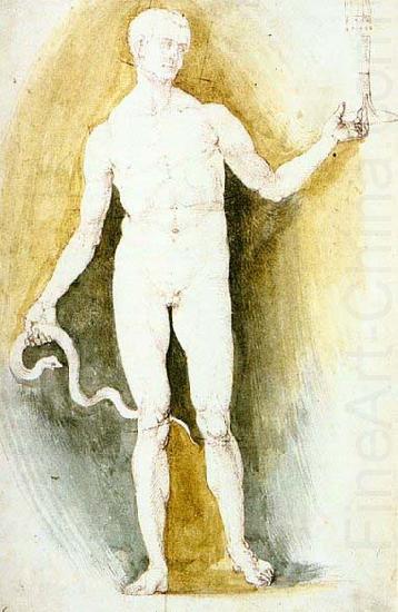 Albrecht Durer Male Nude with a Glass and Snake china oil painting image